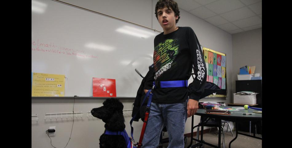 Service Dog on campus for trial run