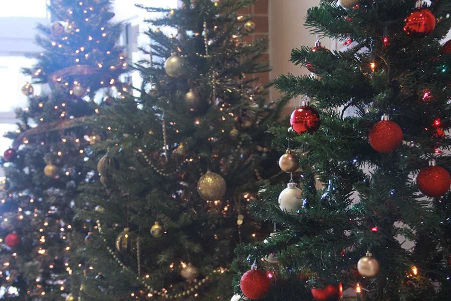 Clubs create holiday trees in hopes of raising holiday spirit