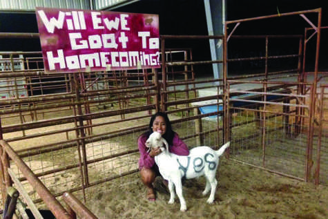Allie Hill was surprised when she found a Homecoming proposal in the FFA barn.