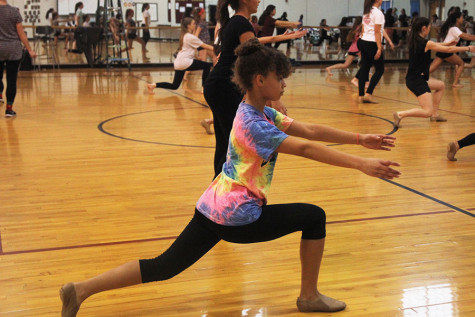 Freshman Shayla Anderson is one of the students trying out Dec. 9 for one of the school's two dance teams.