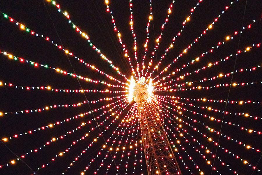 A look from the inside of one of the many light trees at the Trail of Lights