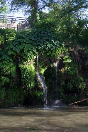 Krause Springs is a great spot to cool off away from town.
