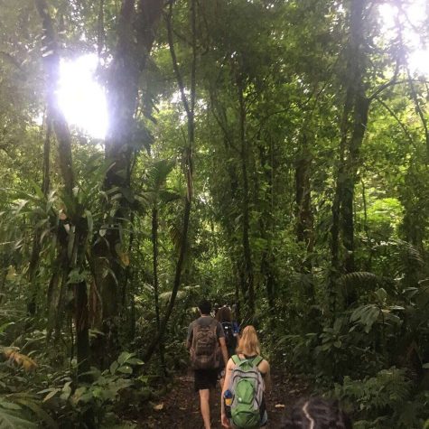 Traveling Raiders: Students take on school trips for the Summer