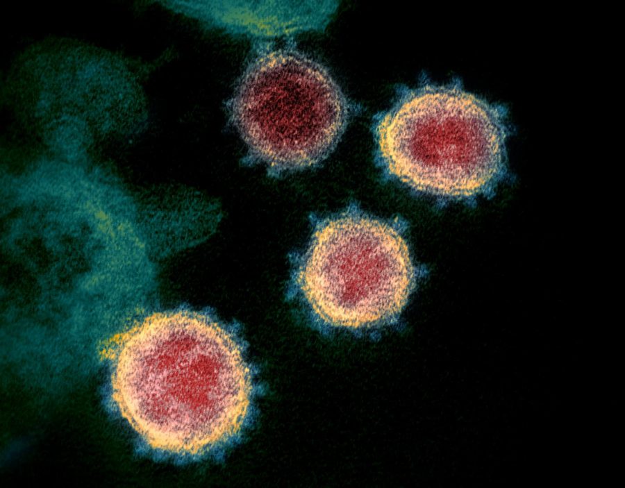 Coronavirus Cacophony