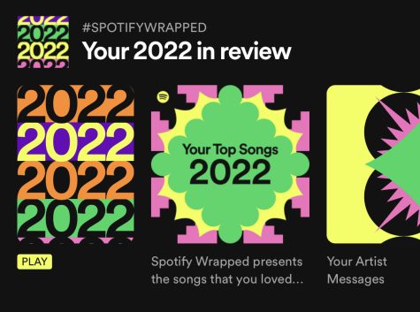 This is from a users Spotify account. To show the options listed by Spotify for Spotify Wrapped. 