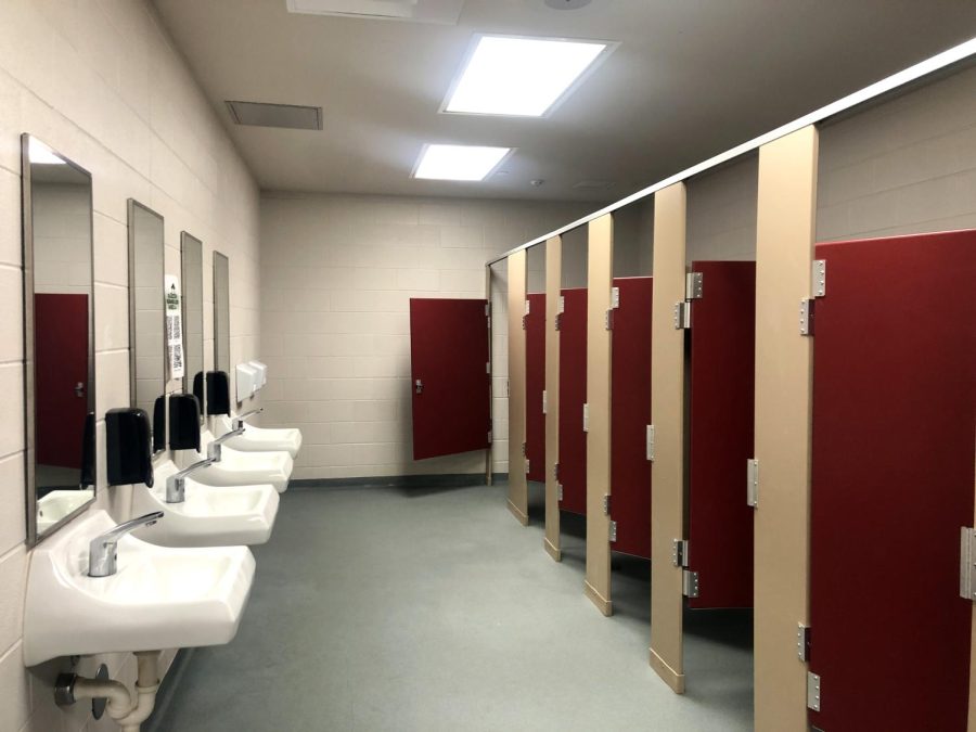 Standing+by+the+door+of+the+CTE+bathroom%2C+students+can+get+a+glimpse+of+the+six+stalls%2C+four+sinks%2C+mirrors%2C+soap+dispensers+and+lack+of+period+product+care.+Photo+by+Snigdha+Shenoy