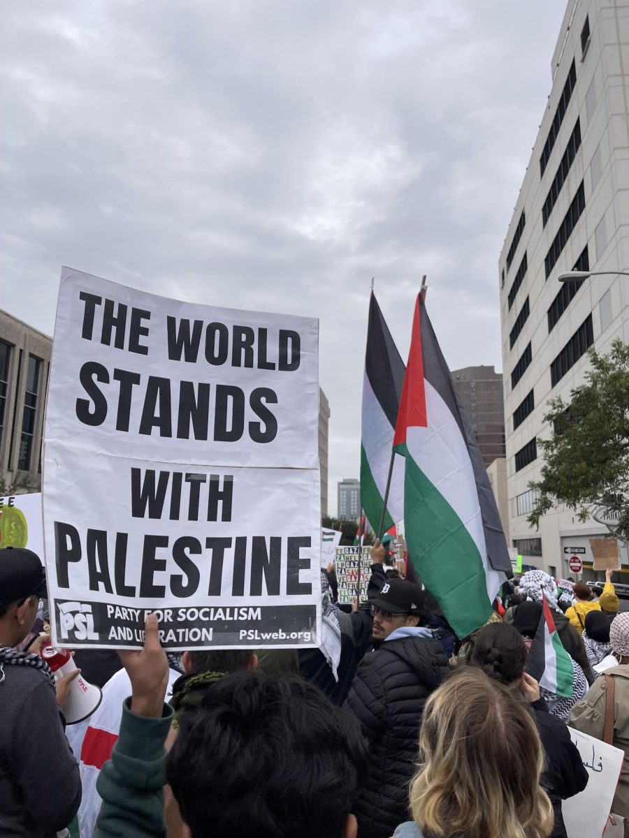 A protester holding a poster that says the world stands with Palestine and protesters nearby are holding Palestinian flags.